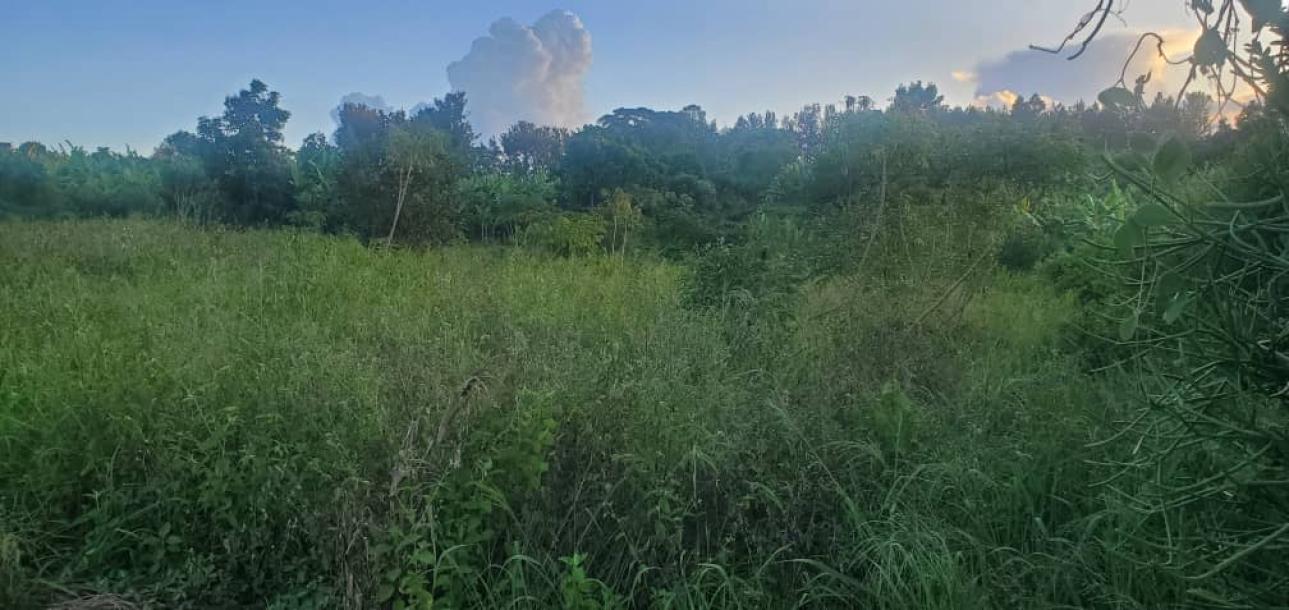 land in nkokonjeru-5