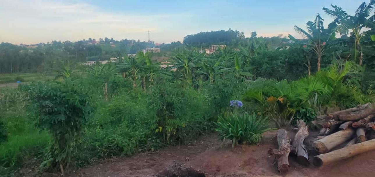 land in nkokonjeru-7