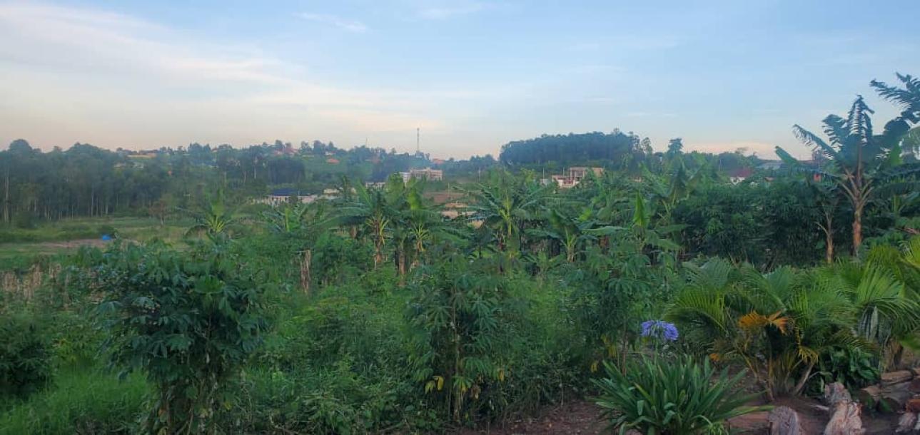 land in nkokonjeru-4