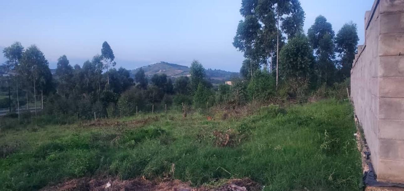 land in nkokonjeru-4
